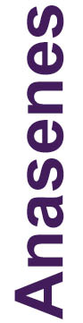 04 PRO013418_names_anasenes.jpg