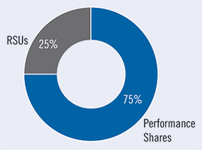 [MISSING IMAGE: pc_longtermincentive-pn.jpg]