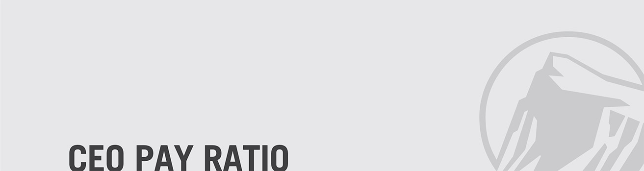 [MISSING IMAGE: bn_ceopayratio-bw.jpg]