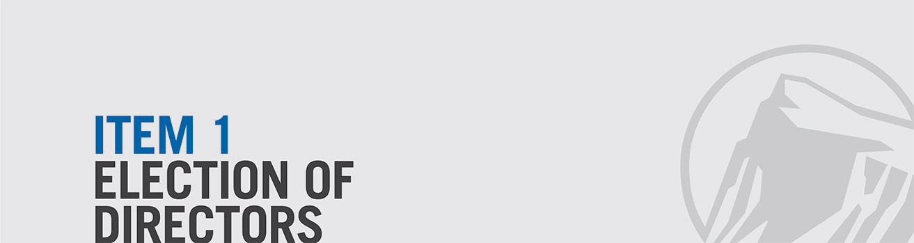 [MISSING IMAGE: bn_item1-pn.jpg]