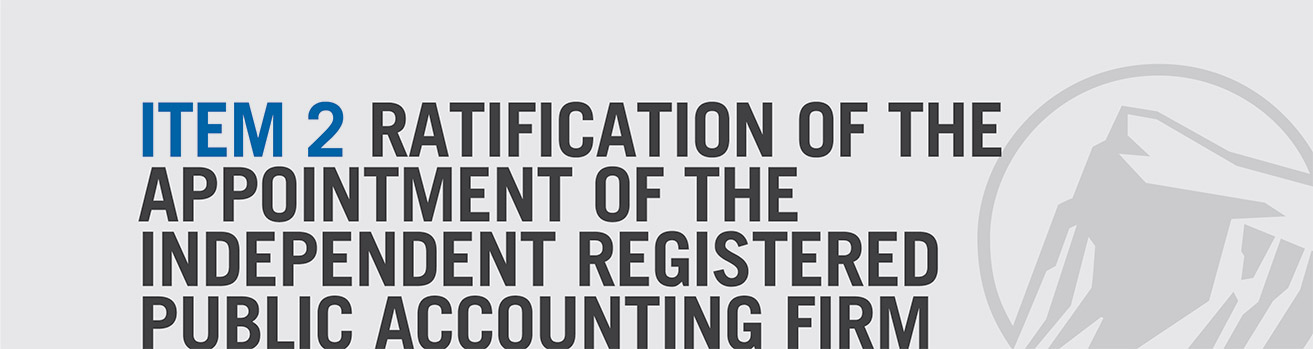 [MISSING IMAGE: bn_item2-pn.jpg]