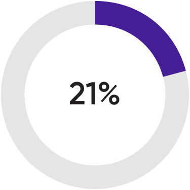 03_438334-3_piechart_shareholder engagement_Director Led Engagement.jpg