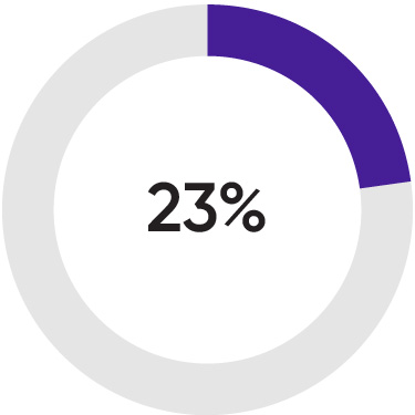 03_438334-3_piechart_shareholder engagement_Director Led Engagement 02.jpg