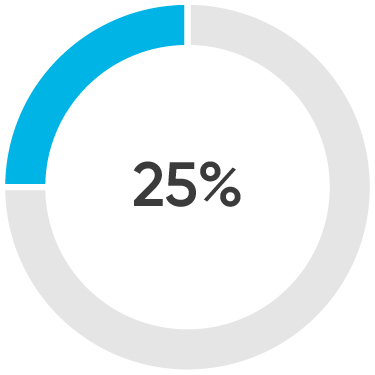 03_438334-1_pie_performance measure_average_annual.jpg