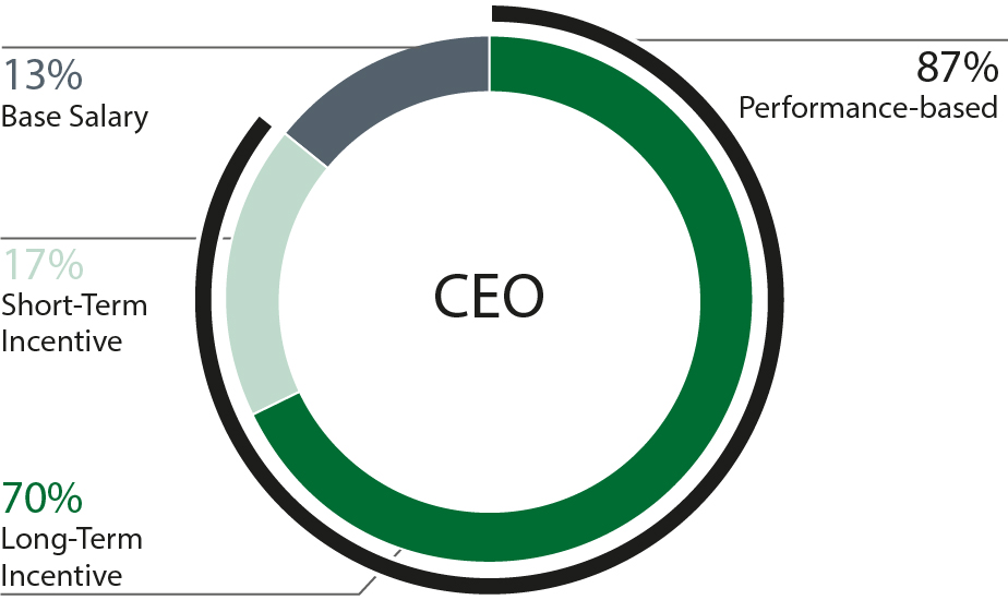 piechart_CEO.jpg