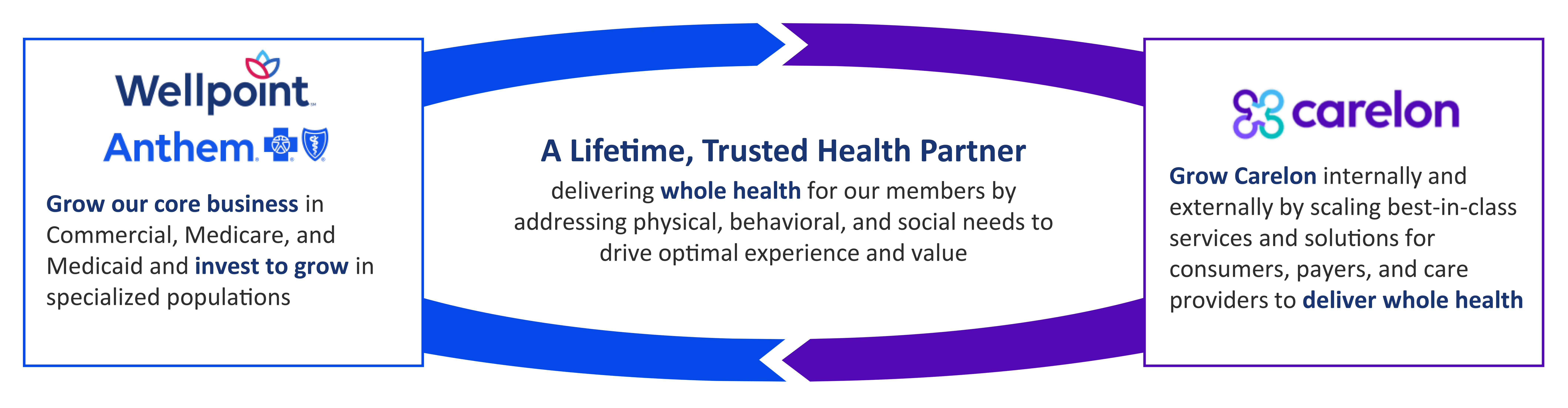 2025 Strategy Framework_vShare_Wide-1.gif