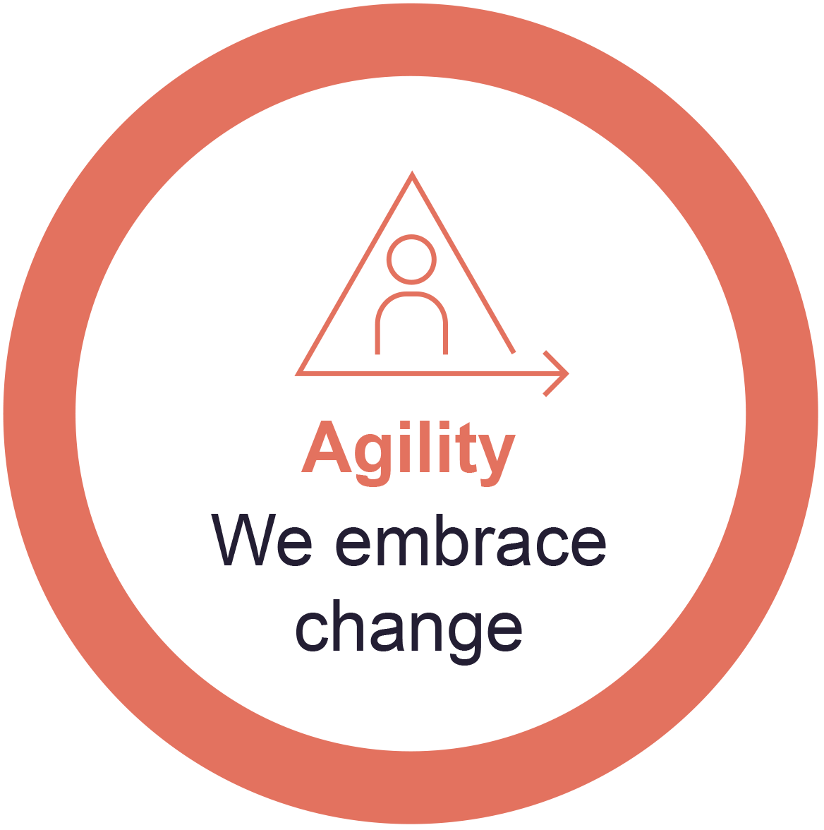 values-agility.gif