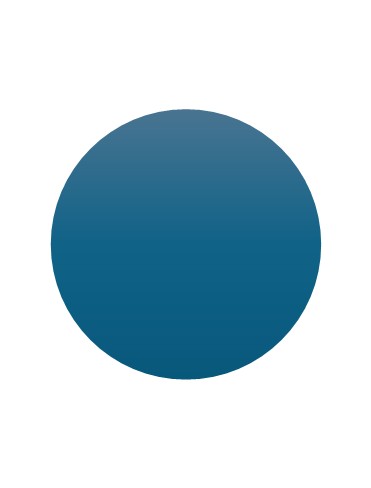 Full Blue Circle.jpg