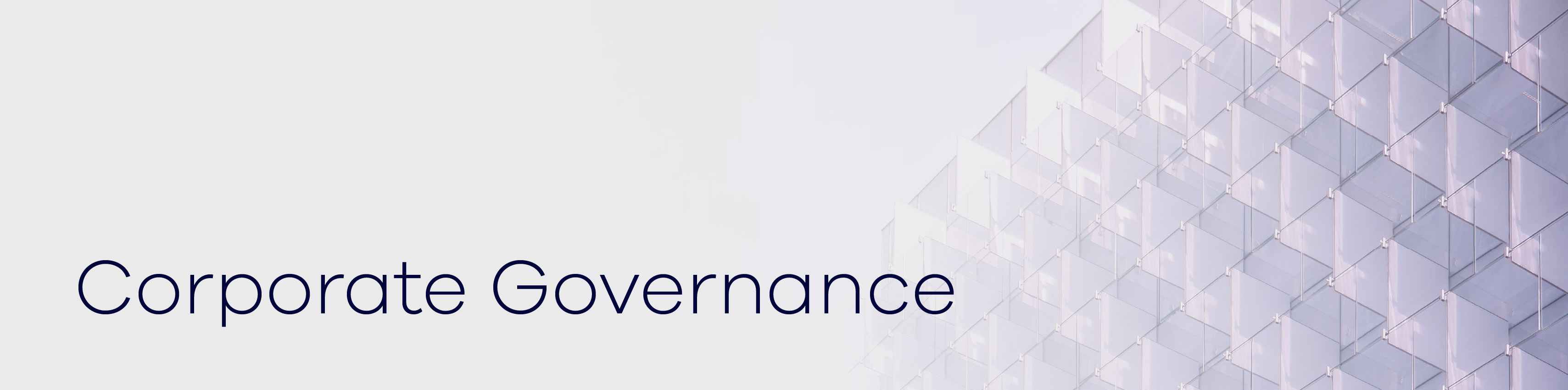 2025_Annual-Proxy_Graphics_Governance.jpg