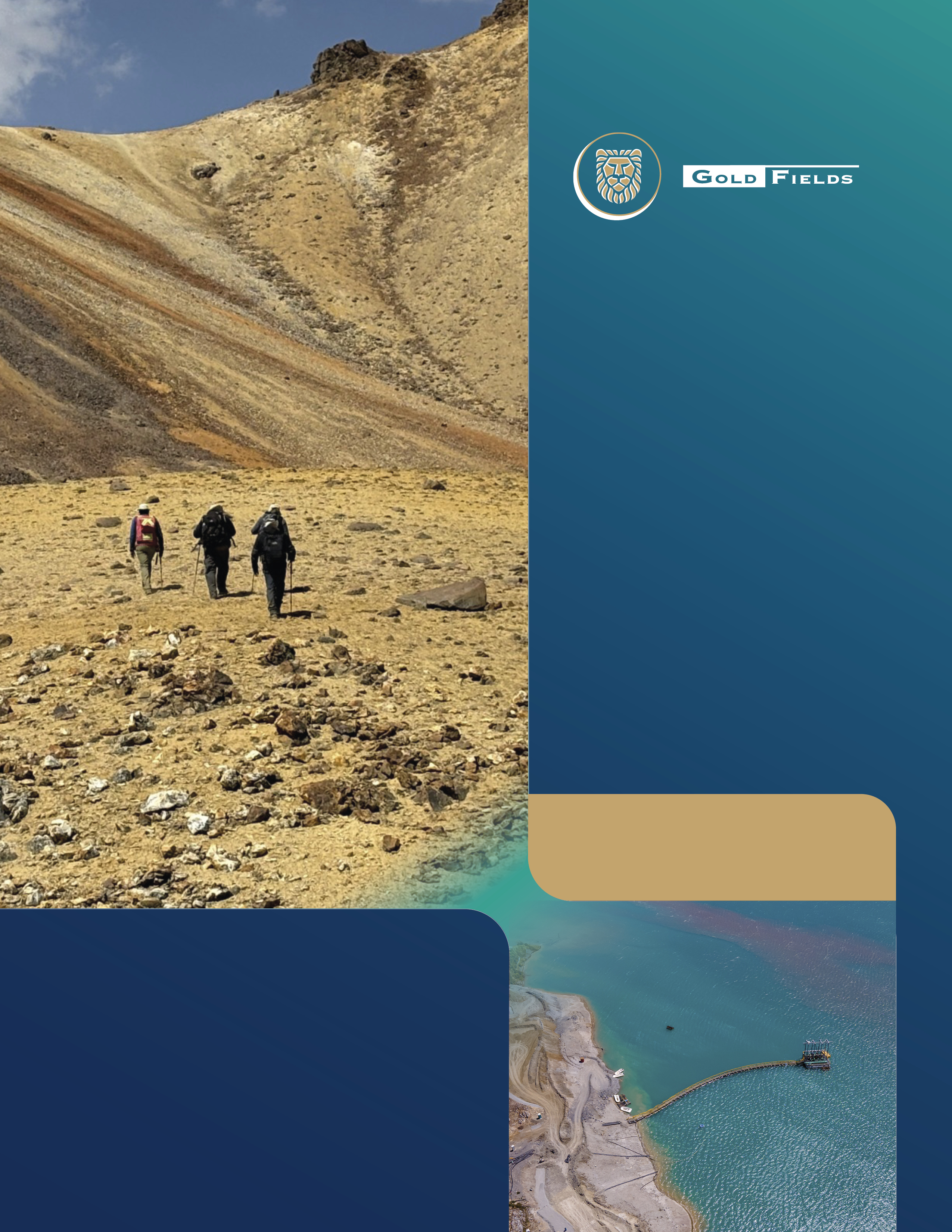 Gold Fields 20F Financials cover.jpg