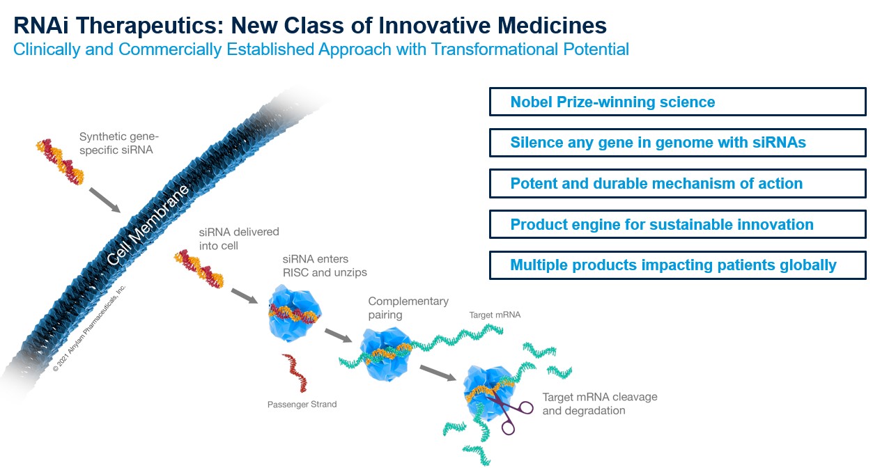 zRNAi Therapeutics- Slide.jpg