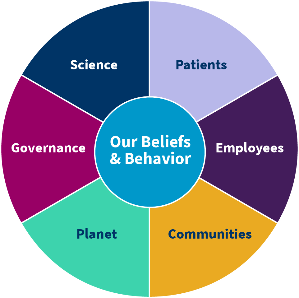 04 PRO013579_gfx_corporate responsiblity pillar-01.jpg