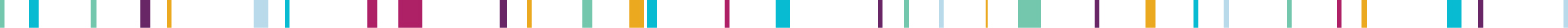 04 PRO013579_gfx_running footer rule-01.jpg
