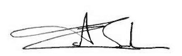 iag-20201231_g3.jpg