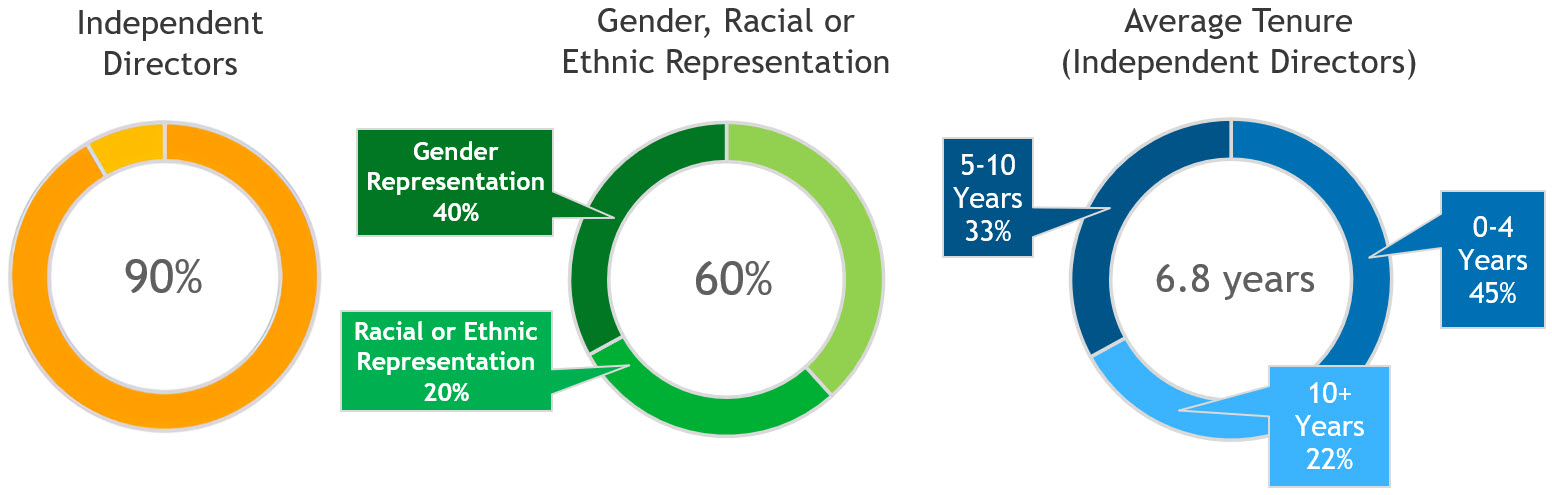 board of directors snapshot graphic.jpg