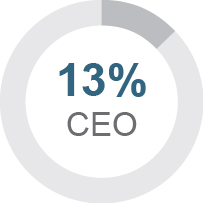 03_436029-3_pie_keycompensation_ceo_base salary.jpg