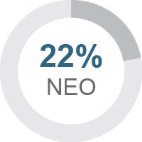03_436029-3_pie_keycompensation_neo_base salary.jpg