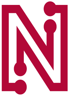 [MISSING IMAGE: lg_netlistinc-4c.jpg]