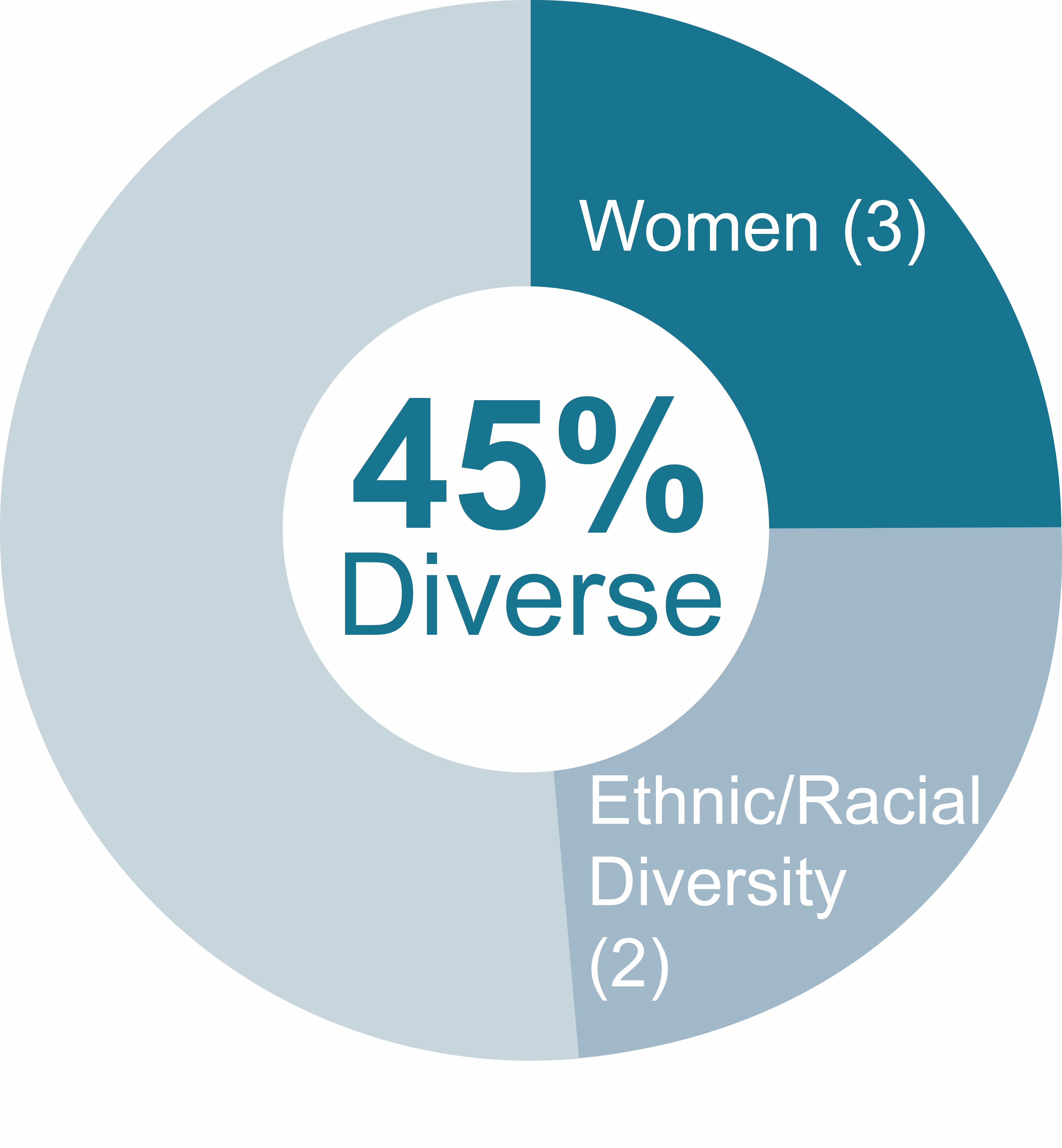 Diversity of director nominees - 2023.jpg
