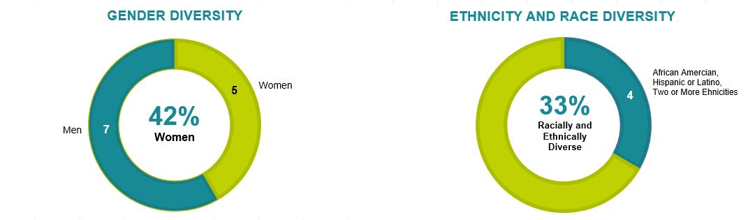 Gender and Ethnic Diversity 2025.jpg