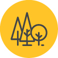 Icon-deforestation.jpg