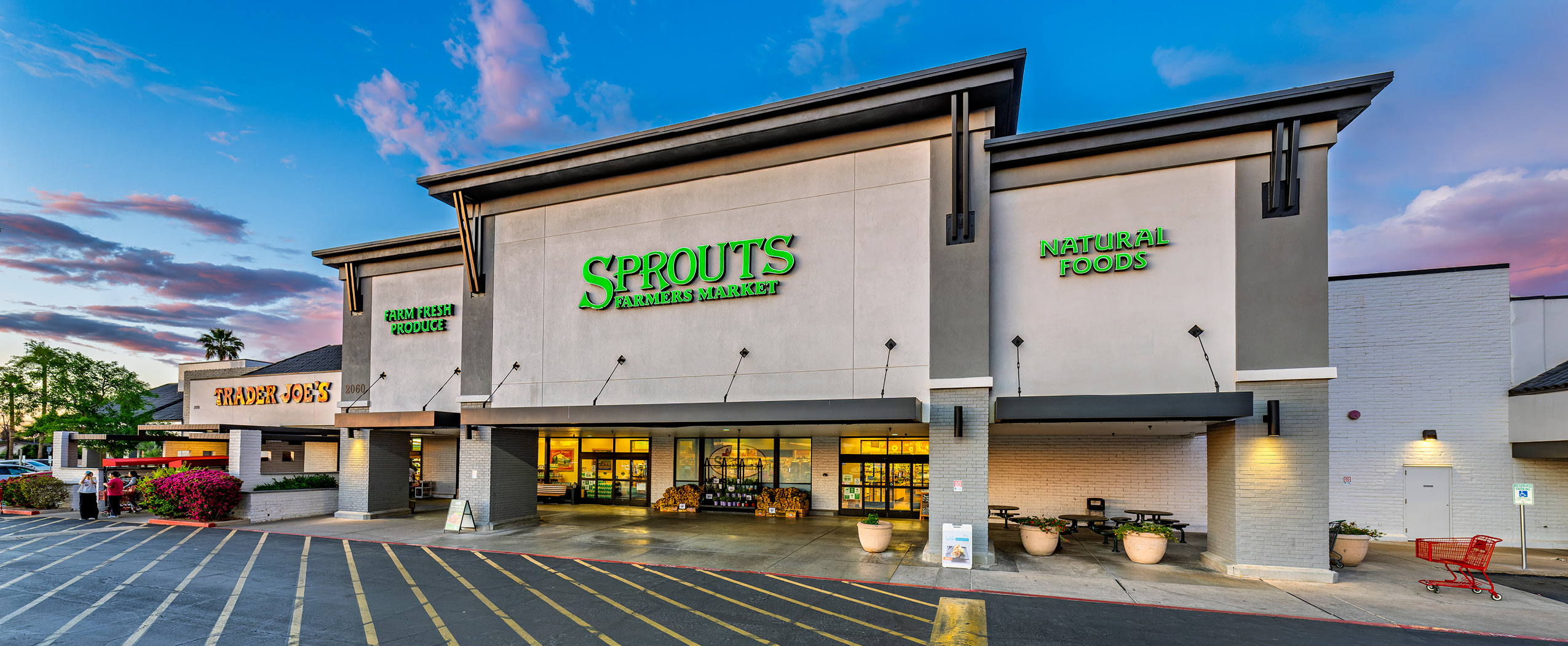 2026_Proxy 3.5_Sprouts.jpg