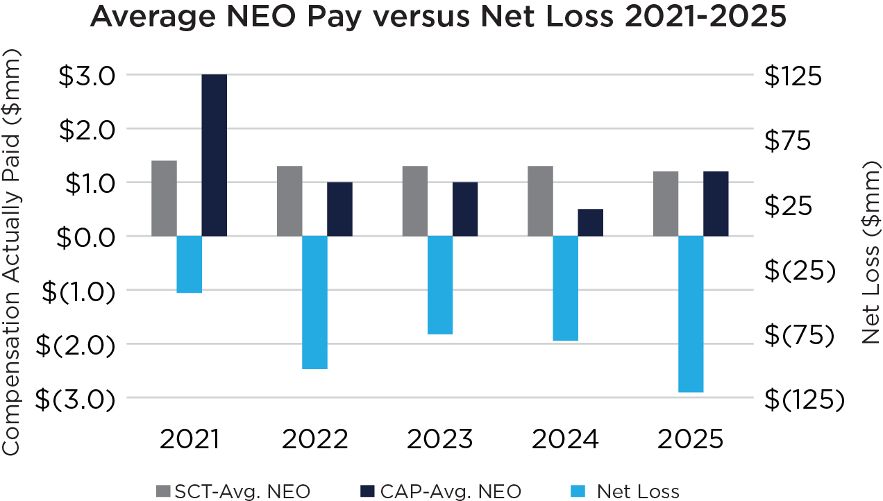 03_PRO013281_barchart_CAP_NEOPayvsNetLoss.jpg