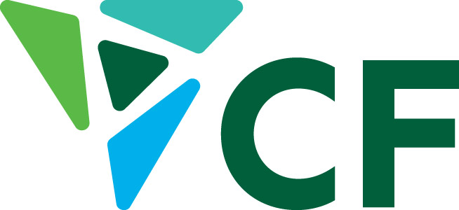 [MISSING IMAGE: lg_cfi-4c.jpg]