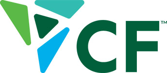 [MISSING IMAGE: lg_cfitm-4c.jpg]