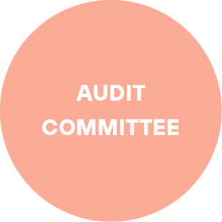 04 PRO014404_Corporate_AUDIT COMMITTEE.jpg