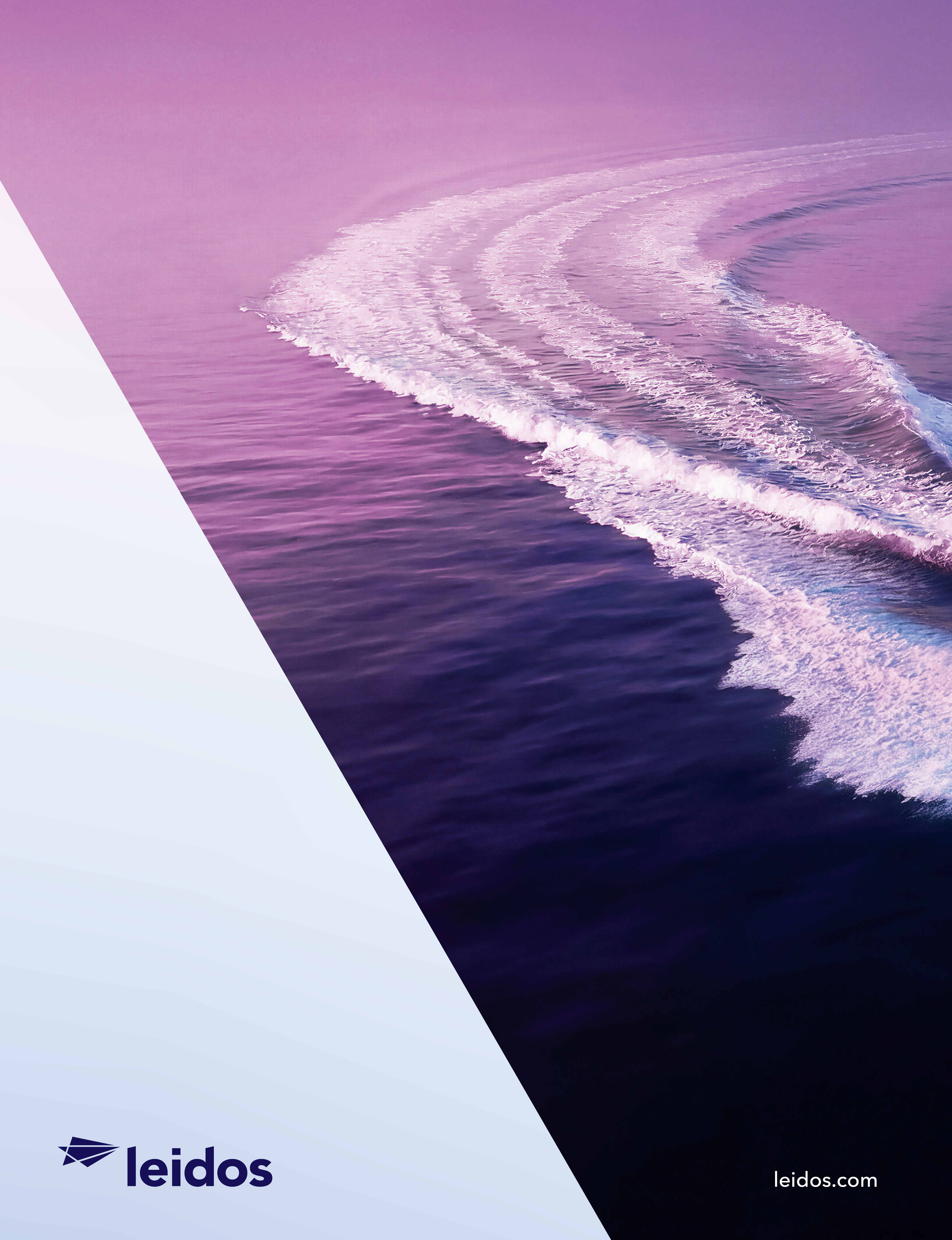 01_LDOS_Back Cover.jpg