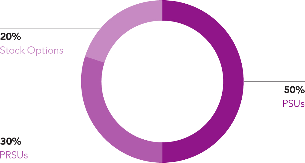 03_435467-1_pie_long term incentive.jpg