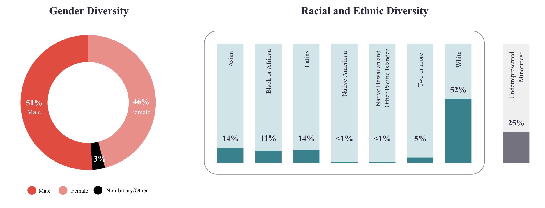 2023 Diversity Charts.jpg