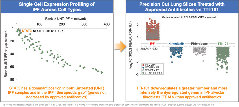 [MISSING IMAGE: fc_ipftherapies-4clr.jpg]