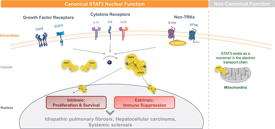 [MISSING IMAGE: ph_canonicalfunction-4c.jpg]