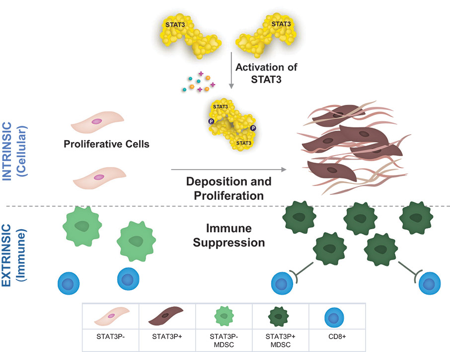 [MISSING IMAGE: ph_dualmechanism-4c.jpg]