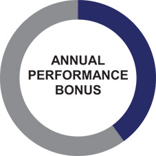 [MISSING IMAGE: tm223382d1-pc_annualperpn.jpg]