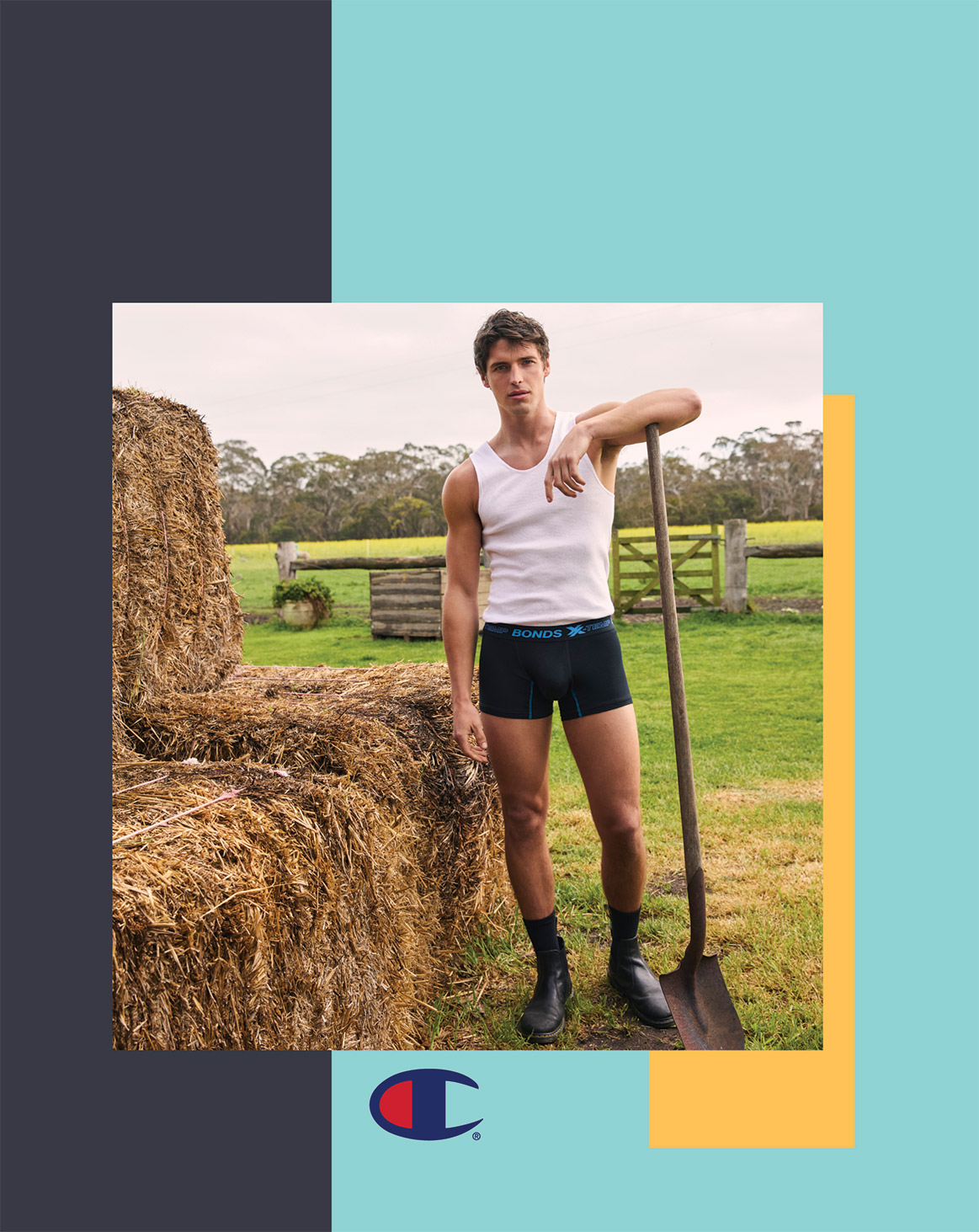 [MISSING IMAGE: cv_analysis-4c.jpg]