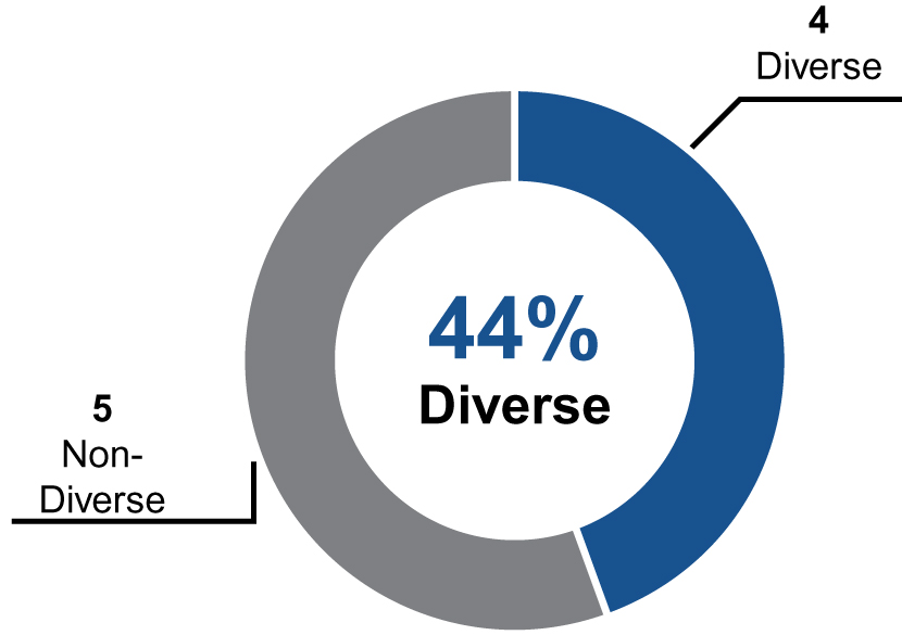 [MISSING IMAGE: tm2130832d2-pc_diversepn.jpg]