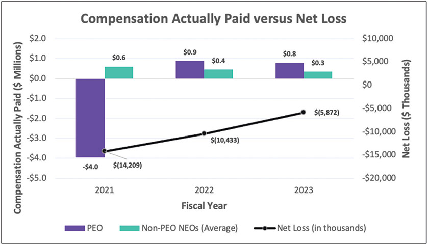 [MISSING IMAGE: bc_netloss-4clr.jpg]