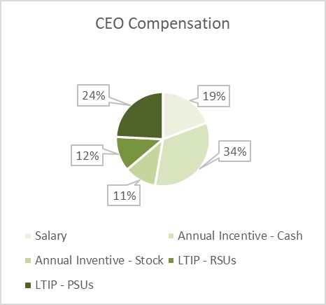 CEO comp.jpg