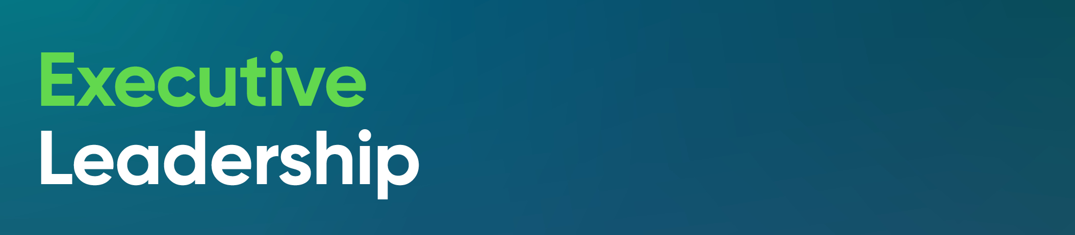 01_PRO012833_T1 Executive Leadership.jpg