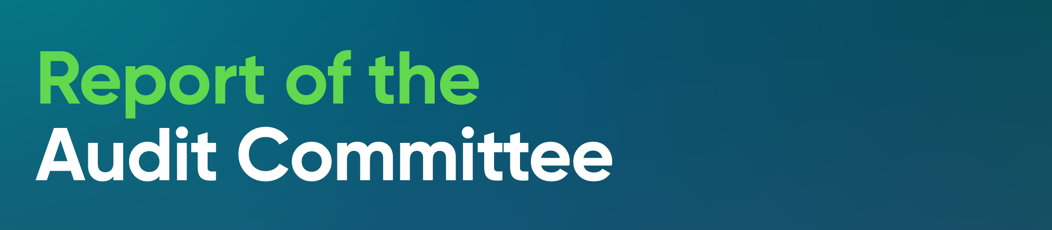 01_PRO012833_T1 Report of the Audit Committee.jpg