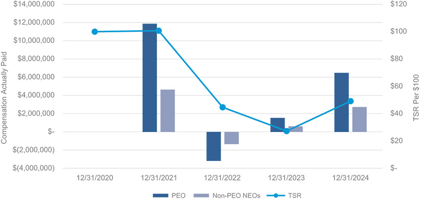 [MISSING IMAGE: bc_paidvstsr-pn.jpg]