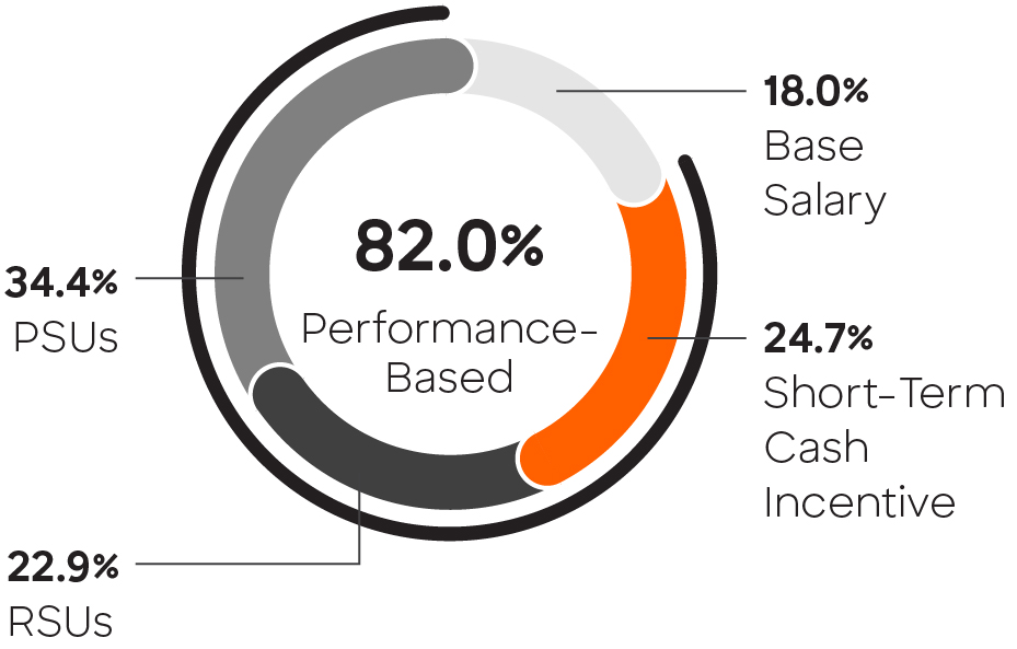 03 425736-1_pie_neotargetpaymix.jpg