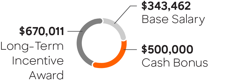 03 425736-1_piechart_compensation-owen.jpg