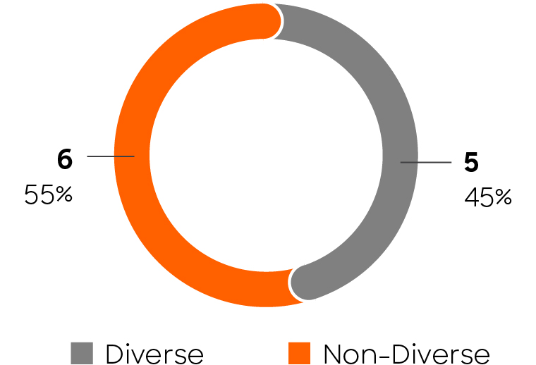 03 425736-1_piechart_boardSnapshotgenderdiv.jpg