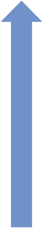 vulcan long arrow.jpg