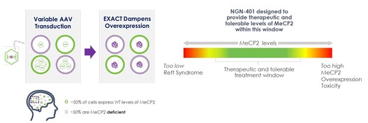 EXACT technology fpr Rett Syndrome.jpg