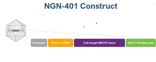 NGN-401_Construct_Graphic_for_10K.jpg